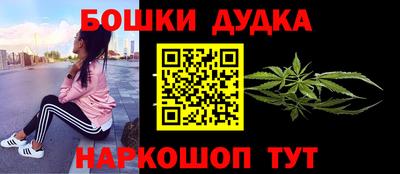 крисы Гатчина