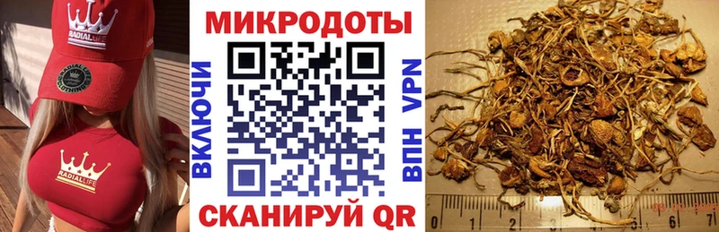 Псилоцибиновые грибы Psilocybine cubensis  наркота  Чапаевск 