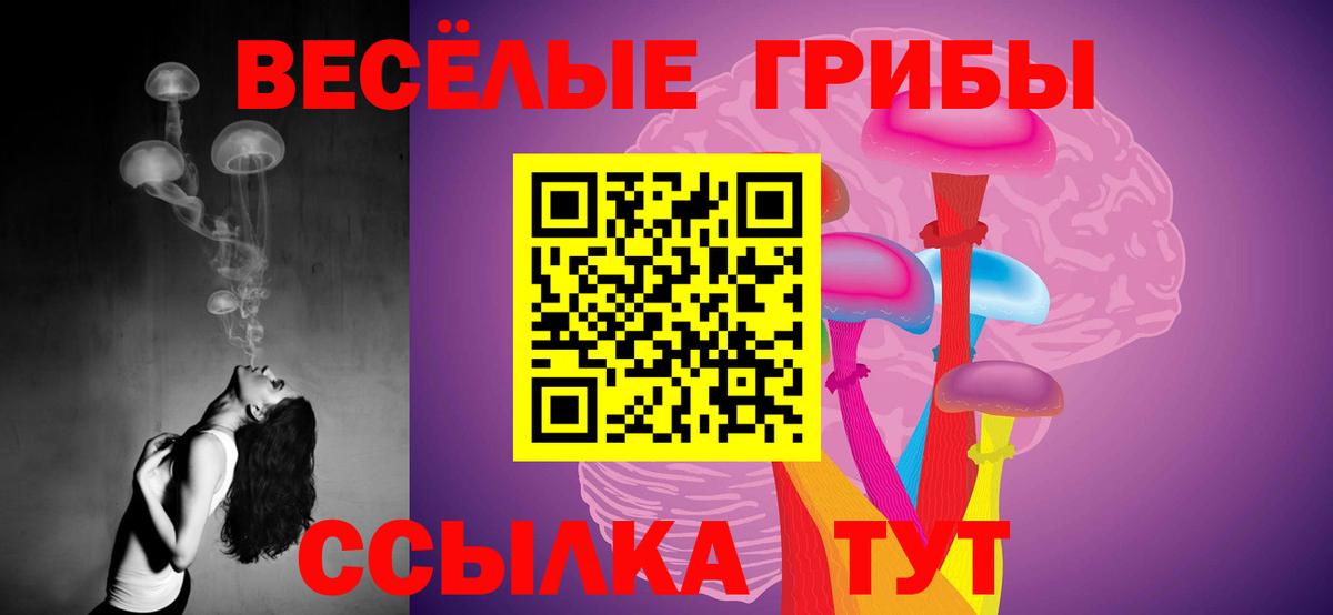 Галлюциногенные грибы GOLDEN TEACHER Чапаевск